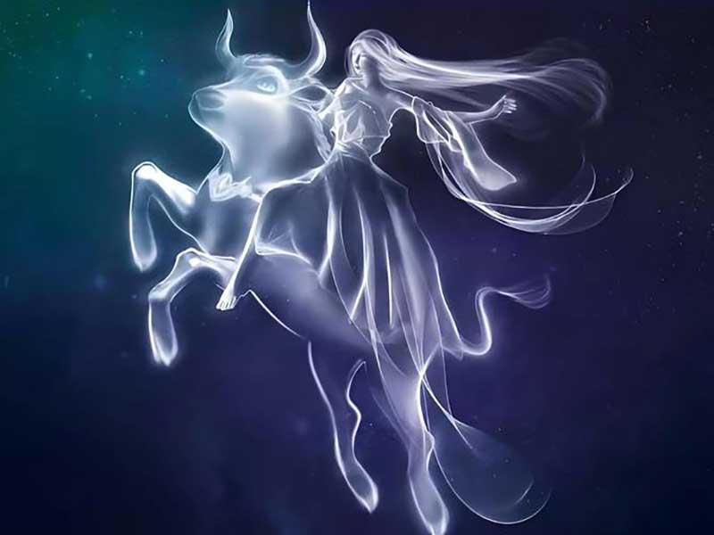 紫微星丨十二星座——金牛座