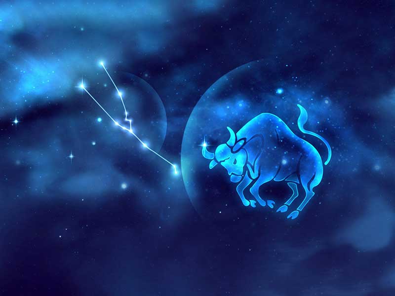 紫微星丨十二星座——金牛座