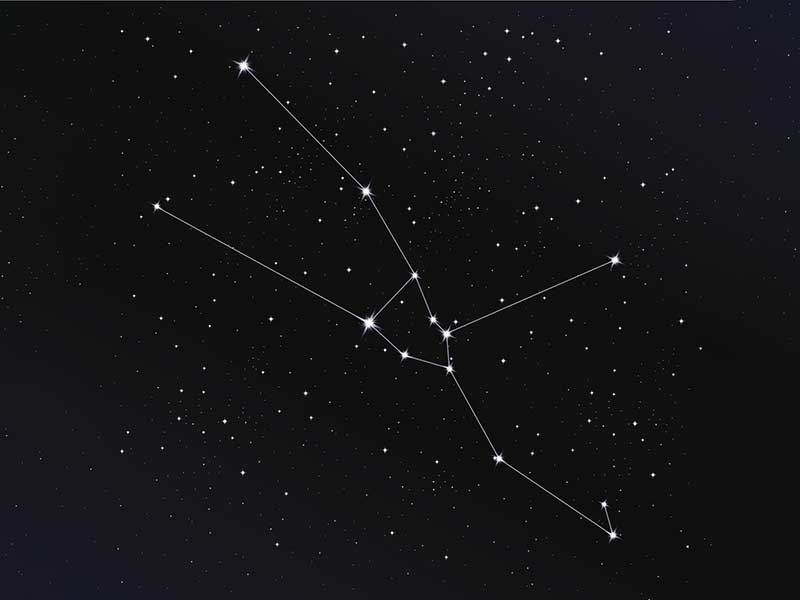 紫微星丨十二星座——金牛座