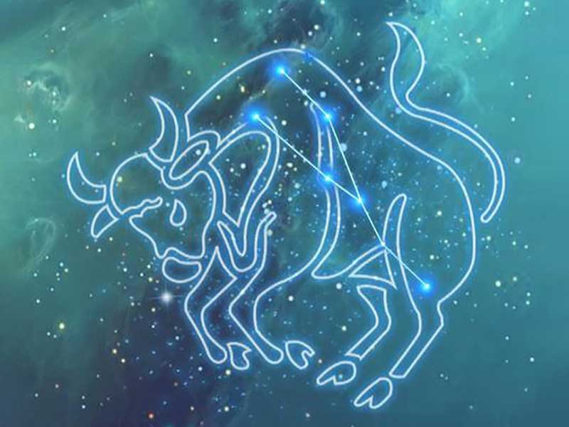紫微星丨十二星座——金牛座
