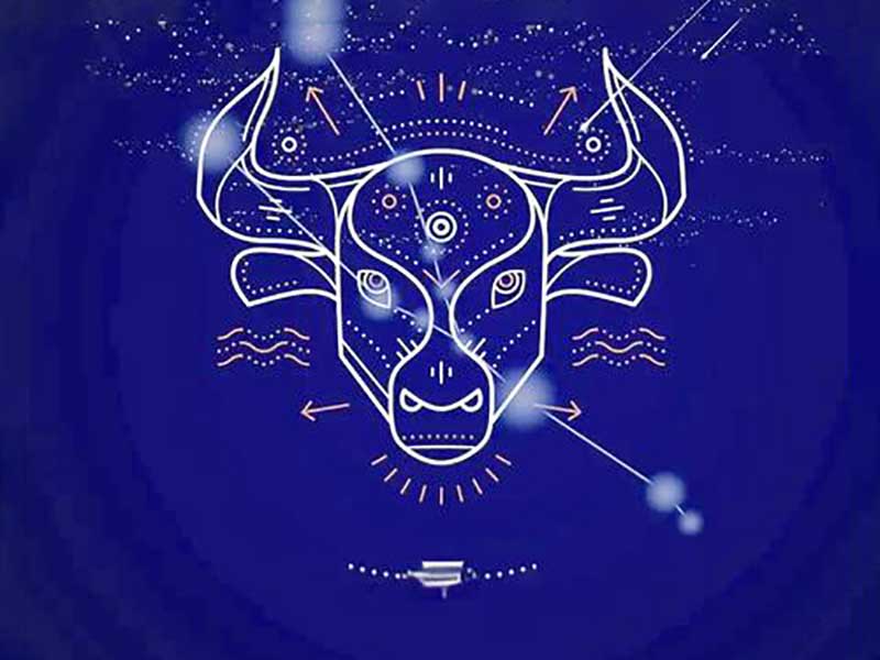 紫微星丨十二星座——金牛座