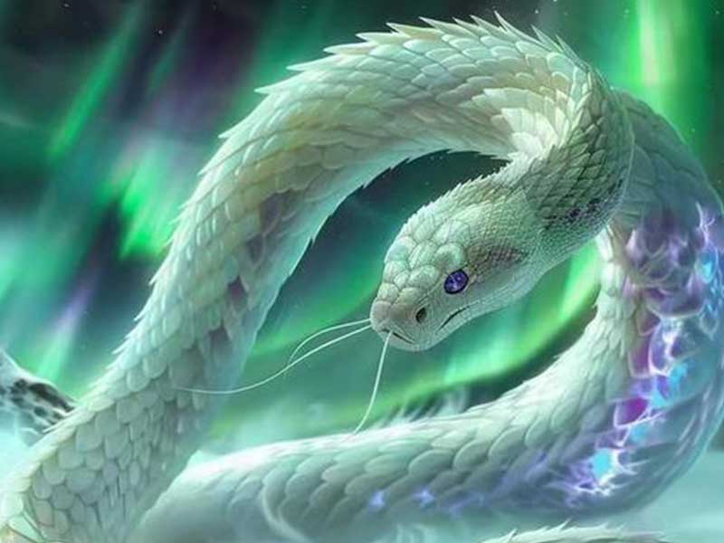 紫微星丨十二生肖——巳蛇