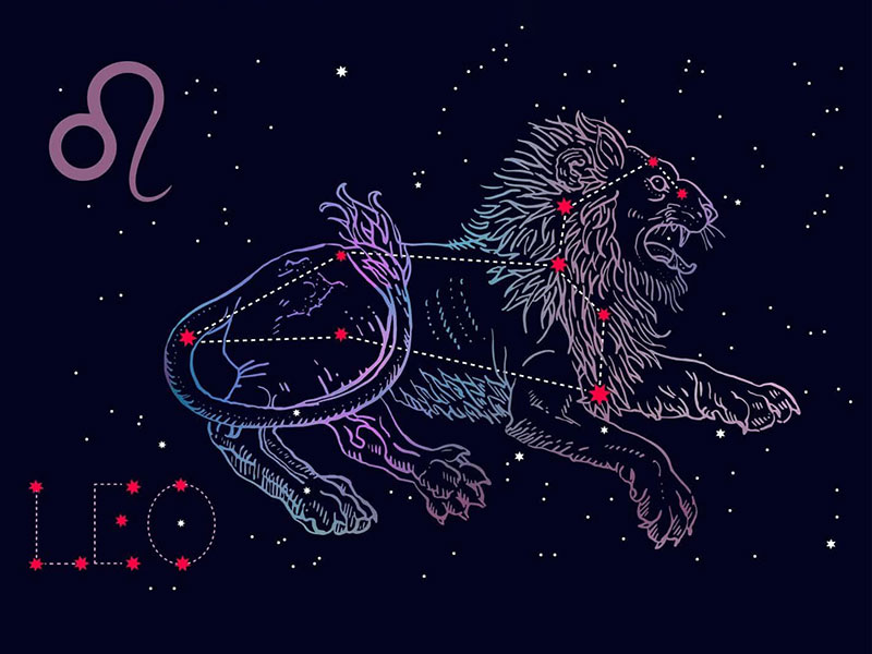 紫微星丨十二星座——狮子座