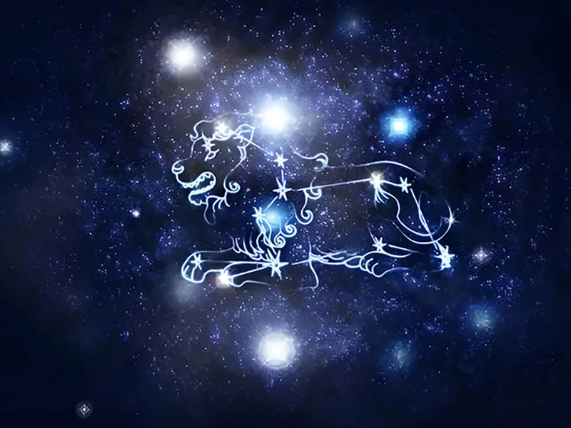紫微星丨十二星座——狮子座