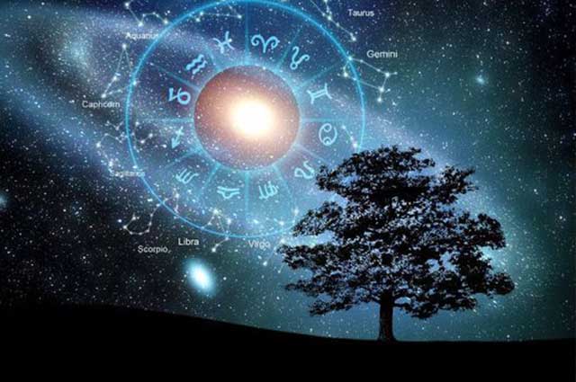紫微星丨单颗行星落宫的论法