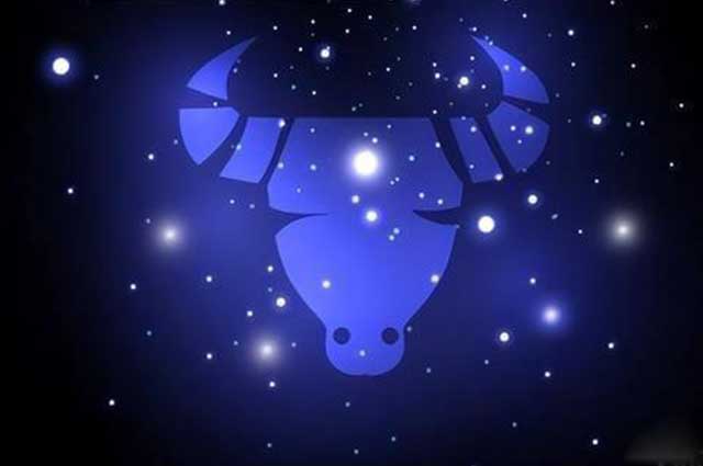 紫微星丨如何追求金牛座的人？