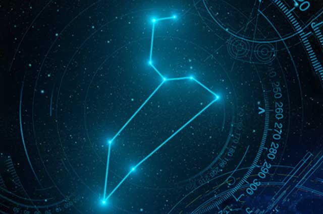 紫微星丨狮子座的爱情观