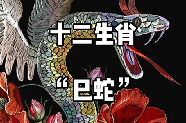紫微星丨属蛇的人本命年需要注意什么？
